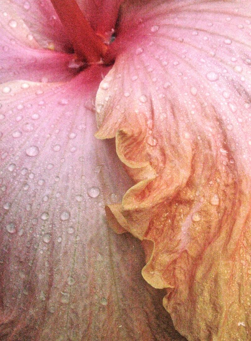 Photo Encaustic Open Session for former students by Nancy Ori