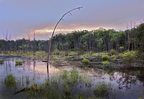 Beginning Digital Boot Camp in Peter’s Valley with Nancy Ori