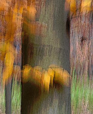 Intermediate Photoshop Tips – Branch Watkins – Image 3