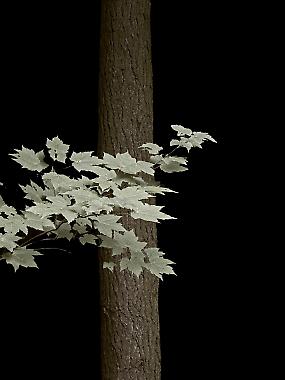 Intermediate Photoshop with Branch Watkins, Image 10