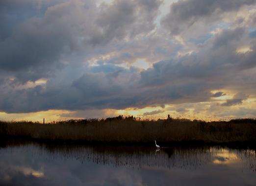 Light, Shadow and Form, Image 3