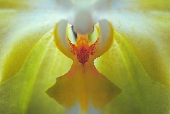 Landscape and Garden Photography Field Trip