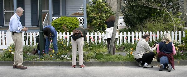 Natural Light Workshop Image 6