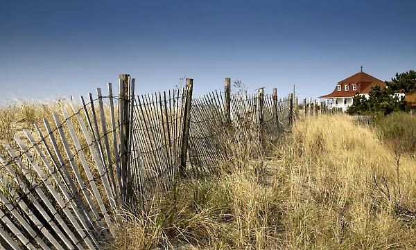Natural Light Workshop Image 1