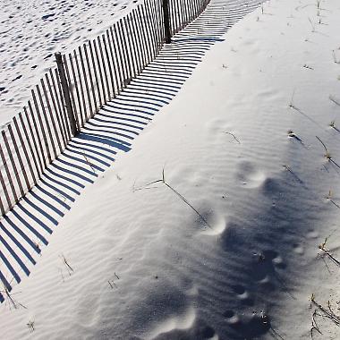 Light, Shadow and Form, Image 1