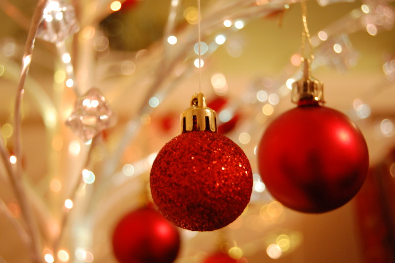 Beginning Digital and Better Holiday Photos