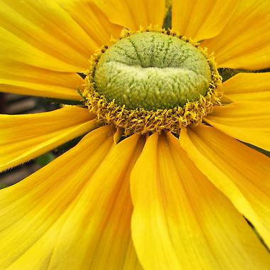 Digital Photography for the Painter or Beginner – Cape May Series