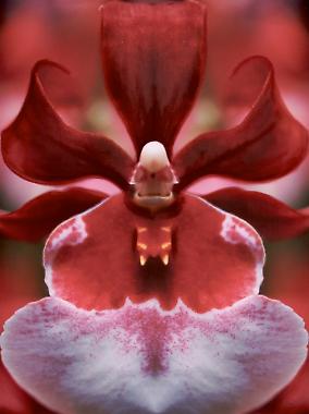 Digital Photography for the Painter or Beginner, Cape May Series, Image 4