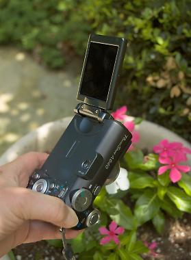 Digital Photography for the Painter or Beginner, Cape May Series, Image 6