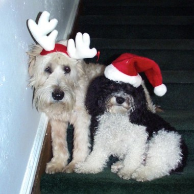 Beginning Digital Holiday 1