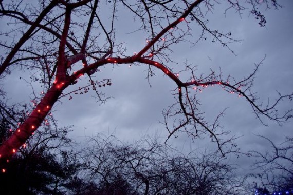 Beginning Digital Holiday 7