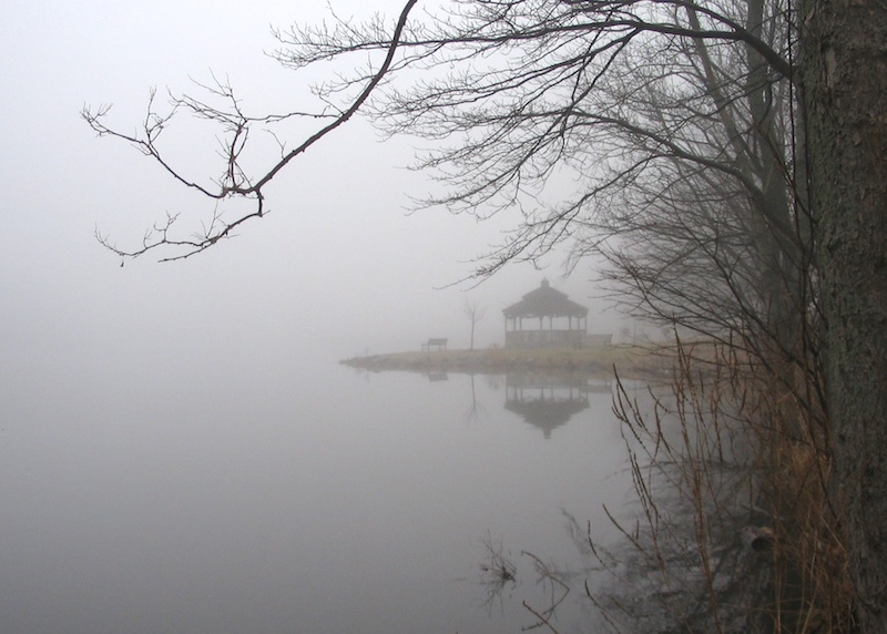 Digital Photography Part 1: The Camera