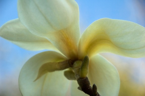 Composition and Light @ Morris Museum – Digital Photography