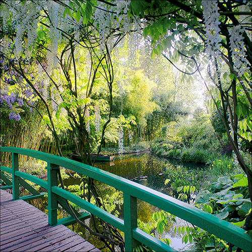 France 2014 Photographers and Painters