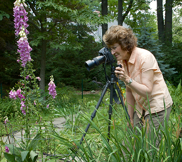 Beginning Digital Photography, Nancy Ori