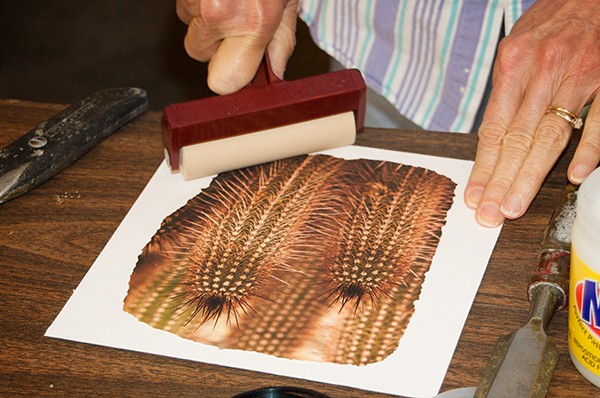 Photography Workshops by Nancy Ori