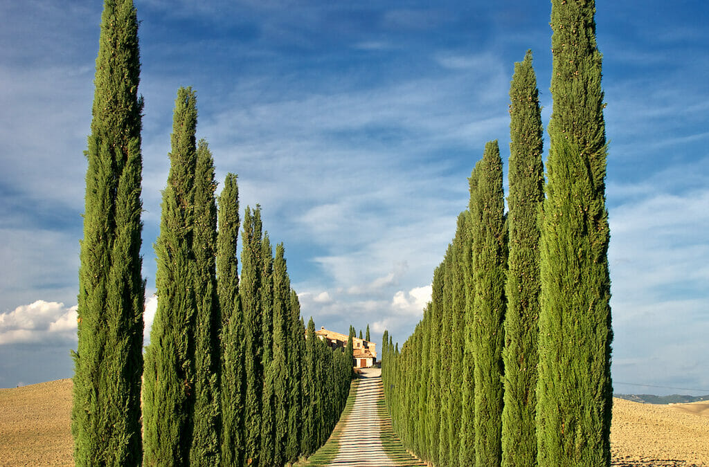 Italy, Tuscany and Umbria